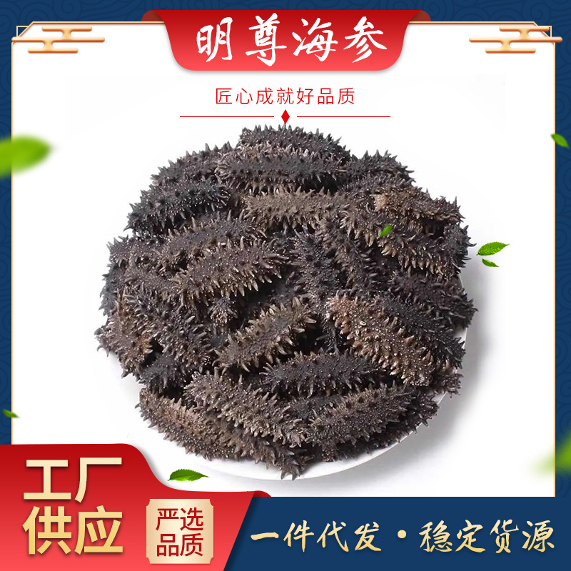 海参一件代发